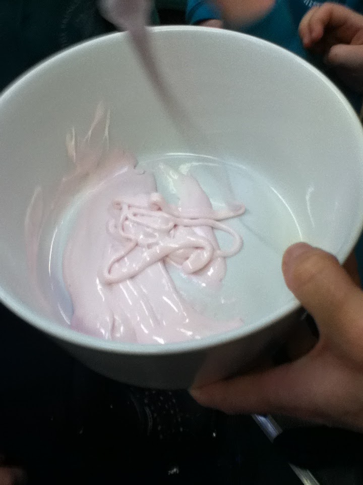 Year 1 Class Marshmallow experiment